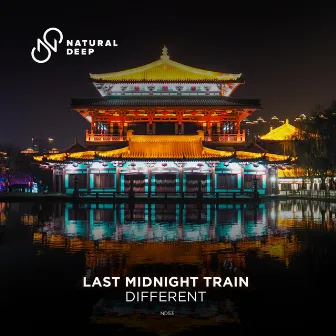 Different by Last Midnight Train