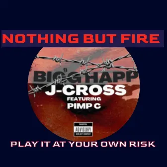 Play It At Your Own Risk by CEO JCROSS