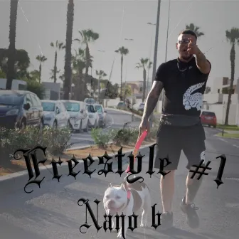 FREESTYLE #1 by Nano B