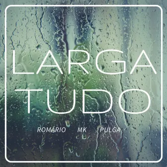 Larga Tudo by Romário Silva