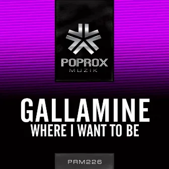 Where I Want To Be by Gallamine