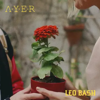 Ayer by Leo Bash