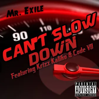 Can't Slow Down by Mr. Exile