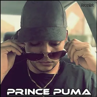 Y Que No Pare La Fiesta by Prince Puma