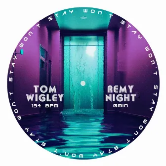 Won't Stay by Remy Night