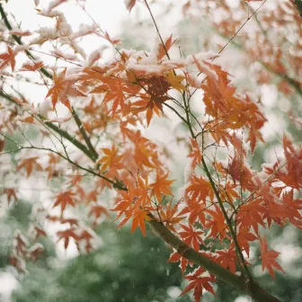 An Imaginary Autumn by TATSURO MURAKAMI