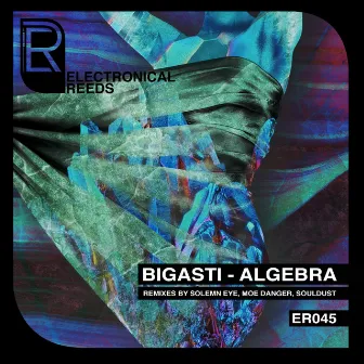 Algebra by Bigasti