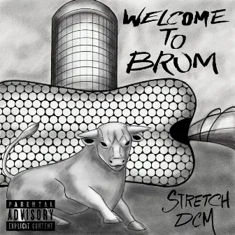 Welcome To Brum by Stretch DCM