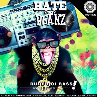 Rude Boi Bass! by Hate N Beanz