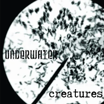 Creatures by Underwater