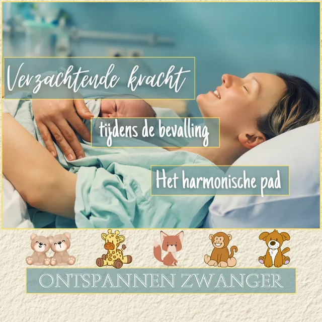 Verzachtende Kracht Tijdens De Bevalling: Het Harmonische Pad