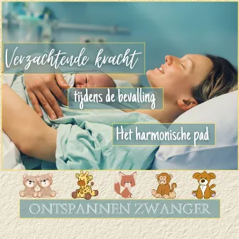 Verzachtende Kracht Tijdens De Bevalling: Het Harmonische Pad by Ontspannen Zwanger