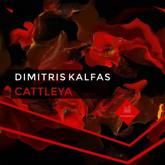 Cattleya by Dimitris kalfas