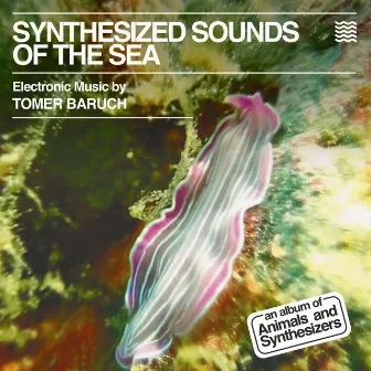 Synthesized Sounds of the Sea by Tomer Baruch