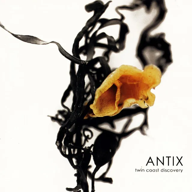 Hiding Place - Antix Remix