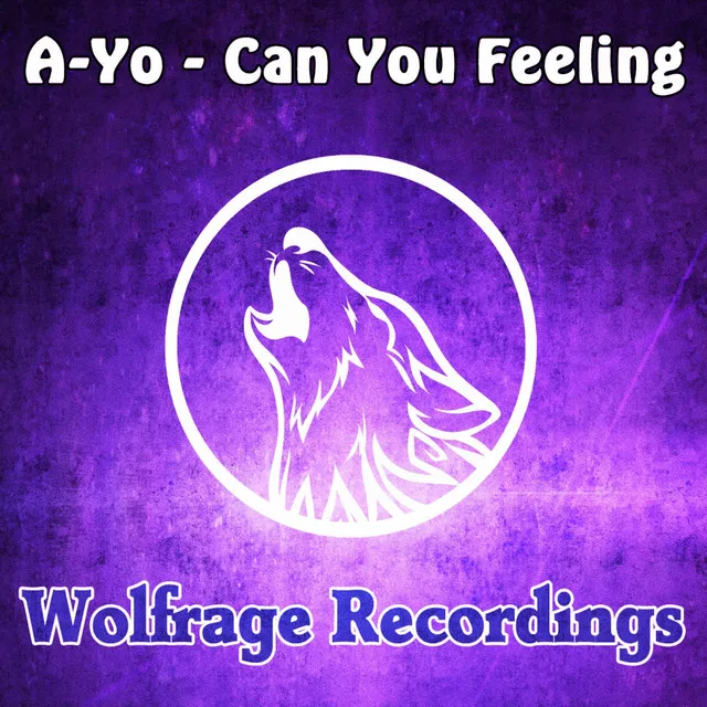 Can You Feeling - Original Mix