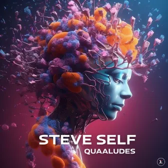 Quaaludes by Steve Self