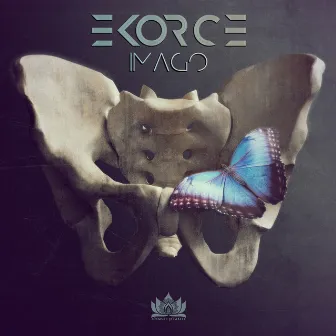 Imago by Ekorce