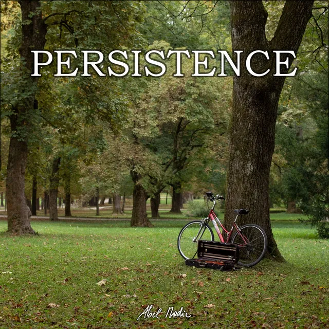 Persistence