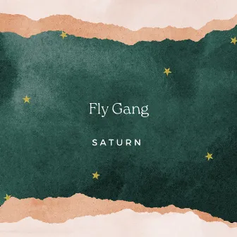 Fly Gang (Radio Edit) by Saturn