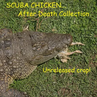 After Death Collection by Scuba Chicken