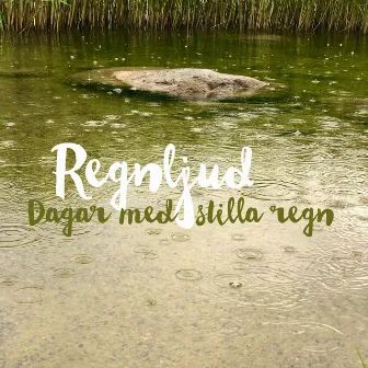 Dagar med stilla regn by Regnljud