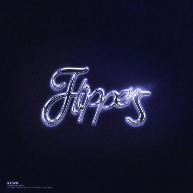 Flippers