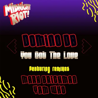 You Got the Love by Domino DB