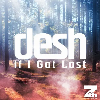 If I Got Lost by Desh