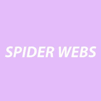 Spider Webs by The Adjective