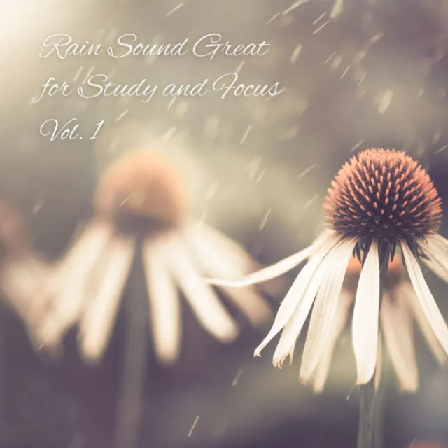 Rain Sound Great for Study and Focus Vol. 1