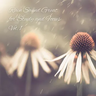 Rain Sound Great for Study and Focus Vol. 1 by Relaxing Study Music Moments