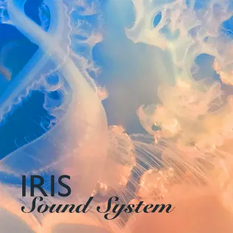 Iris Sound System by Iris Soundsystem