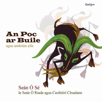 An Poc Ar Buile Agus Amhráin Eile by Seán Ó Sé