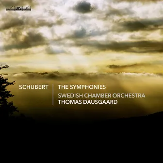 Schubert: The Symphonies by Unknown Artist