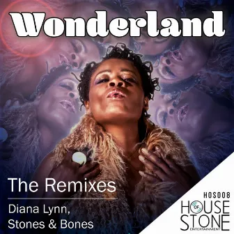 Wonderland (The Remixes) by Diana Lynn