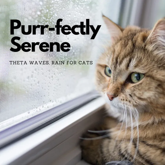 Rain's Serenade for Feline Friends Theta Waves