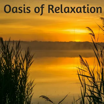 Oasis of Relaxation - Ambient Sleep Music, 50 Relaxing Zen Antistress Songs for Massage by Kurt Oasis