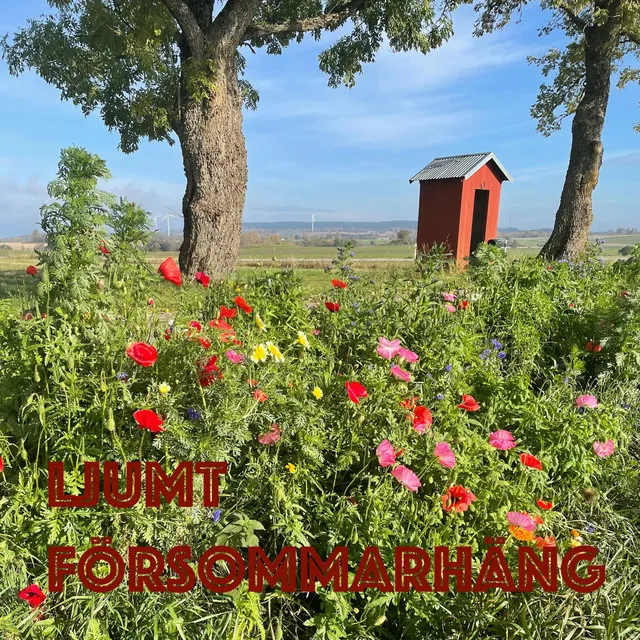 Ljumt Försommarhäng