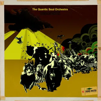 Stampede by The Quantic Soul Orchestra