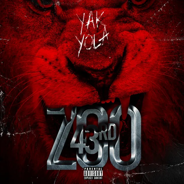 Zoo-43rd