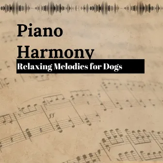 Piano Harmony: Relaxing Melodies for Dogs by Dog Solitude