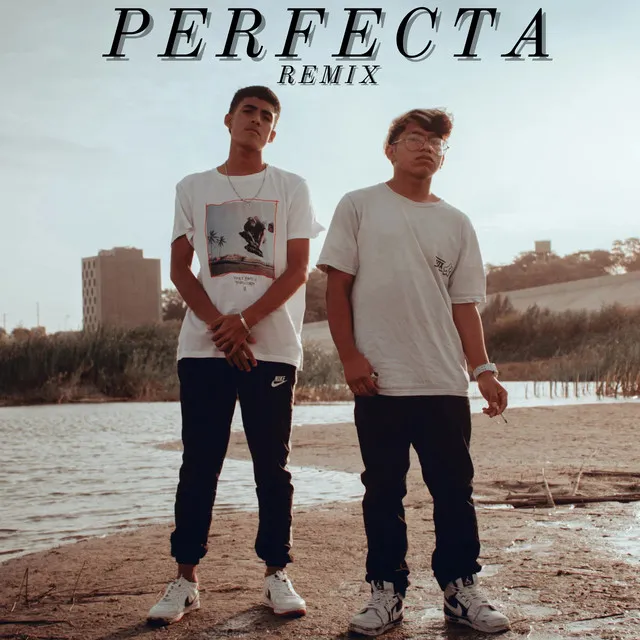 Perfecta - Remix