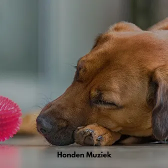 Honden Muziek by RW Anti-angstmuziek