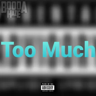 Too Much by Booda Haze