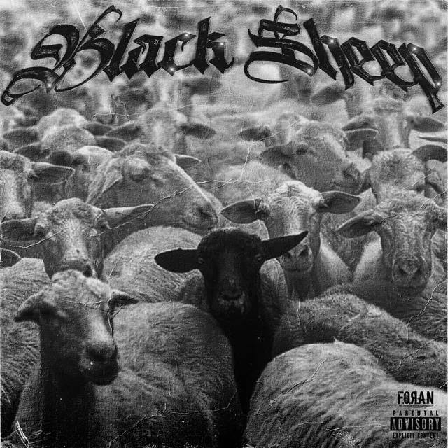 Black Sheep