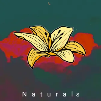 Naturals by Yohun White