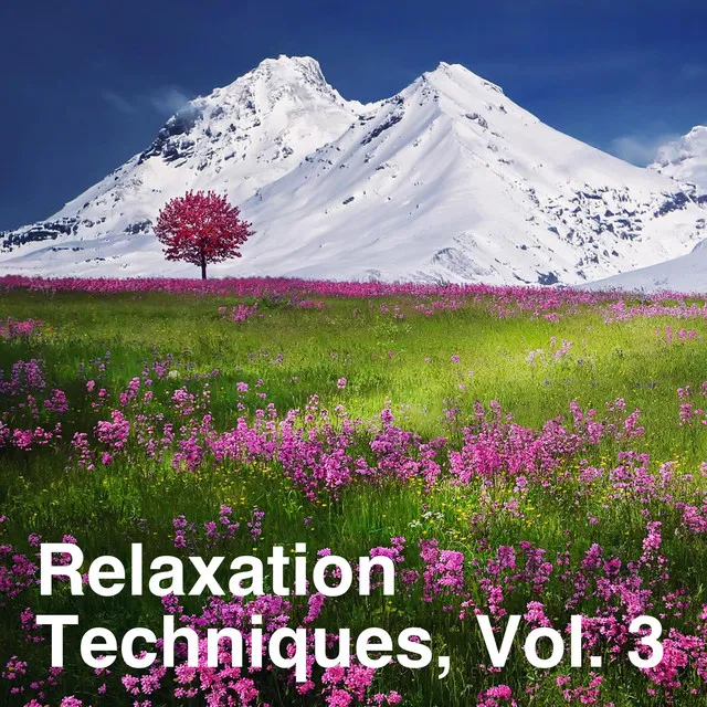 Relaxation Techniques, Vol. 3