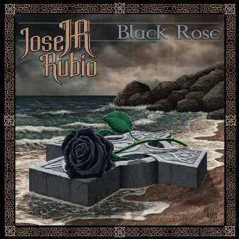 Black Rose by Jose Rubio