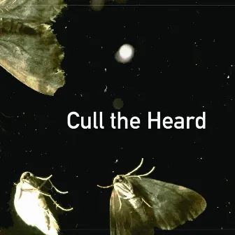 Cull the Heard by Curt Newton